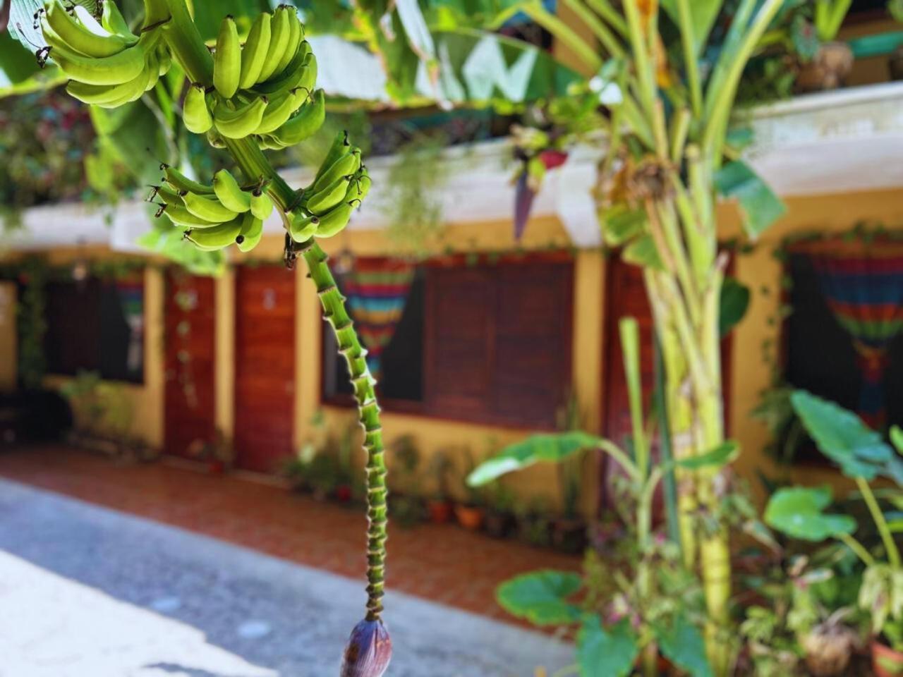 Hotel Casa Del Mar Mazunte Santa María Tonameca المظهر الخارجي الصورة